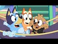 Bluey In Tamil ஒரு புயல் உருவாகிறது Pirates Kids Cartoon
