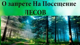 Рыбалка в запрет на посещение лесов могилевской обл