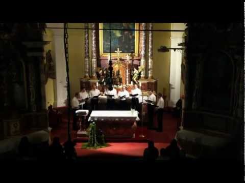 Klapa Koprivnica - Zlatnih krila