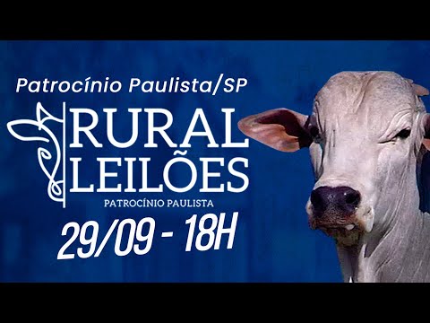 ✅📌 Leilão Virtual e Presencial Rural Leilões - Patrocínio Paulista/SP