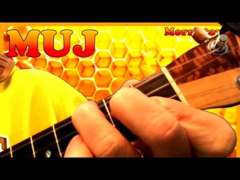 download lagu mp3 mp4 Honey Honey Mamma Mia Ukulele Chords, download lagu Honey Honey Mamma Mia Ukulele Chords gratis, unduh video klip Honey Honey Mamma Mia Ukulele Chords