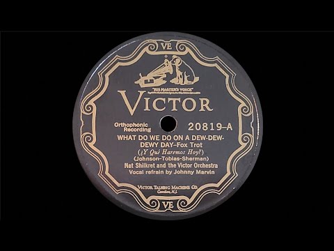 “What do we Do on a Dew-Dew-Dewy Day” by Nat Shilkret and the Victor Orchestra 1927