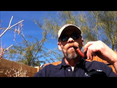 SER JACOPO MAXIMA.wmv