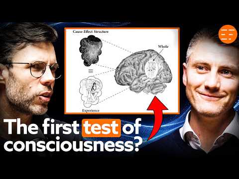 The Science That Can End The AI Consciousness Debate | Integrated Information Theory Explained