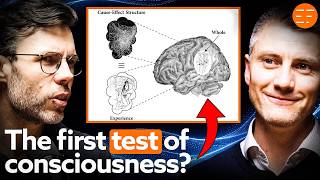 The Science That Can End The AI Consciousness Debate | Integrated Information Theory Explained