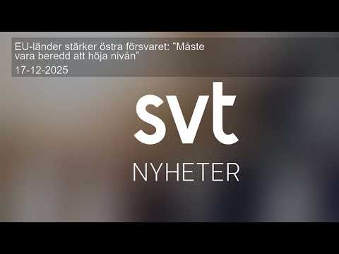 EU-länder stärker östra försvaret: ”Måste vara beredd att höja nivån”