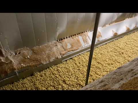 Frigoscandia flo-freeze IQF freezer