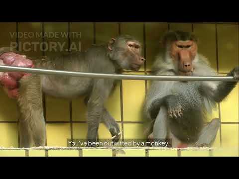 How to Survive a Day at the Zoo (Without Losing Your Mind!)