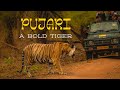 Bandhavgarh National Park Khitauli Zone Safari Tiger Sighting Wildlife Experience Iहिन्द�