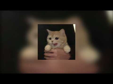 I wanna be saved [slowed]