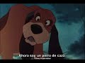 Película El Zorro Y El Sabueso