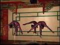 Three Mongolian Contortionists