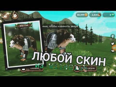 Баг в WildCarft-Как получить ЛЮБОЙ вайлд клаб скин~чит.опис.