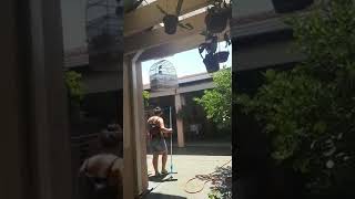 Curió BREJO SP 104