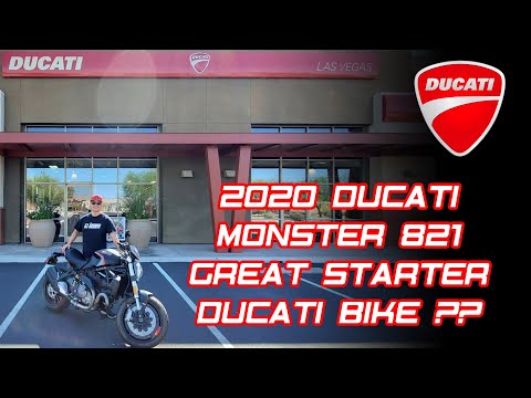 2020 Ducati Monster 821 || Great Starter Ducati?