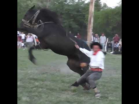Monta especial en clina de Joaquin Griolio en San Javier Santa Fe