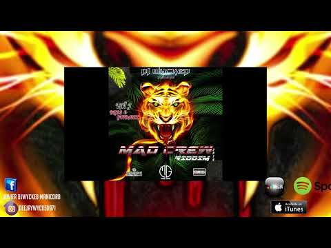 Dj wycked X Taï J - Bless And Guidance ( Mad Crew riddim)