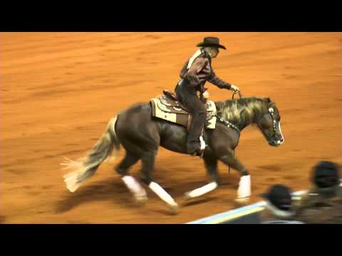 All About Magnum ridden by Kelle L Smith - 2014 NRHA Futurity (NP Finals)