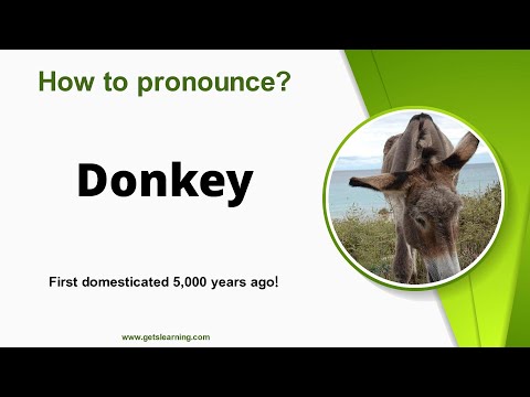 How to pronounce Donkey in English Correctly