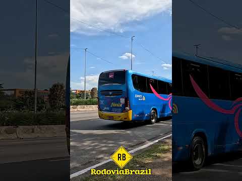São Paulo X Itatiba - Viação Fênix #shorts #rodoviabrazil #onibus #automobile #youtubeshorts #sp