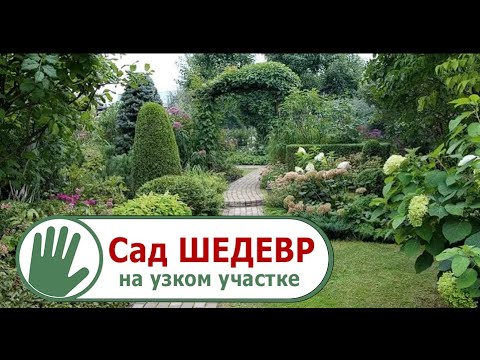 Видео журнал "СОФ №80" Сад ШЕДЕВР на узком участке