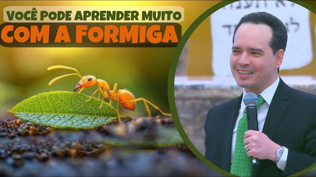3 PROVÉRBIOS E SUAS LIÇOES | AÇÃO, ADMINISTRAÇÃO E HONESTIDADE | Pastor Menezes Bessa