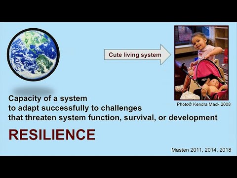 Impact of Early Life Deprivation  Charles A. Nelson Faraneh Vargha-Khadem Ann Masten