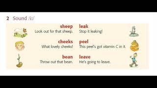 UNIT 1: /iː/ Sheep| IPA Pronuciation with Haleymama