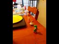 Thomas Ending On Wgbh Pbs Kids