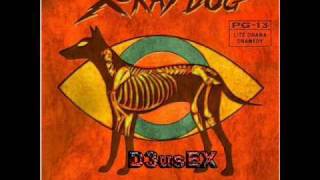 X-Ray Dog - Seeing Eye - New Heights