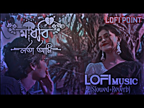 মাধবি লতা আমি || Madhobi Lota Ami || Slowed Music || Slowed Reverb Lofi Music || Lofi Point