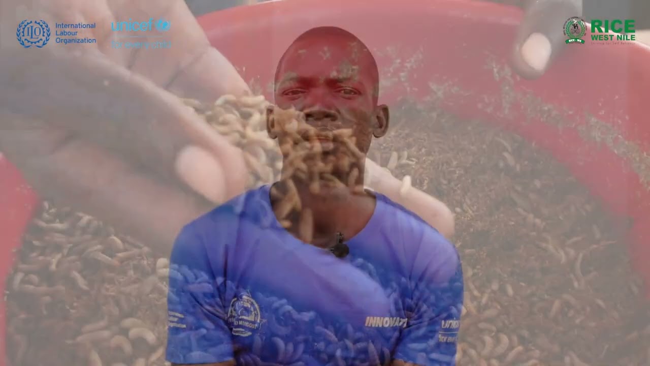 iUPSHIFT #INNOVATE4UG - Ama Ecora Fish Farming Group