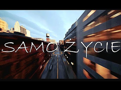 Shadow Verse Records and 2 more