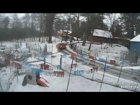 SDP end of day 1025pm 262020