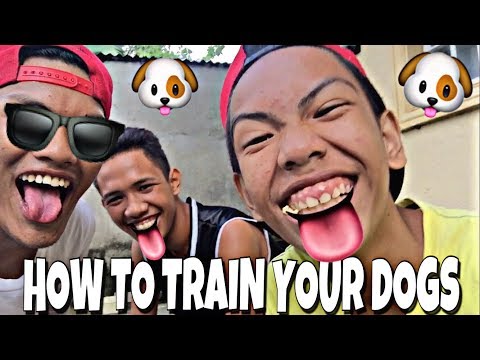 Hiwalay na pagkain menu araw-araw na diyeta na may mga recipe download Slimming night ibig sabihin nito