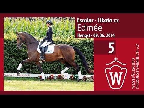05 Edmée Stute v. Escolar - Likoto xx
