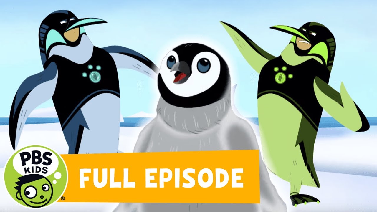 Wild Kratts FULL EPISODE! | Mystery of the North Pole Penguins | PBS KIDS