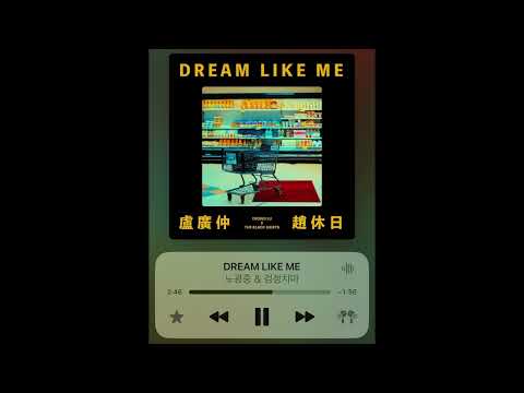 노광중 & 검정치마 - DREAM LIKE ME