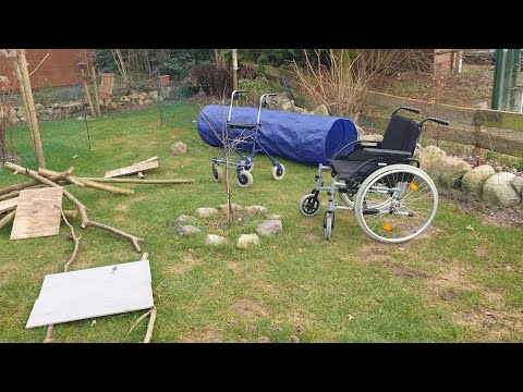 Sozialisation der Welpen mit Rollstuhl und Rollator