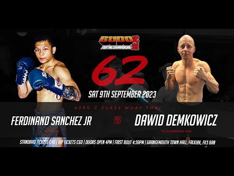 Ferdinand Sanchez Jnr Vs Dawid Demkowski