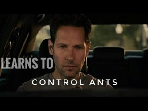 Scott Learns to control Ants | ANT-MAN 2015 |