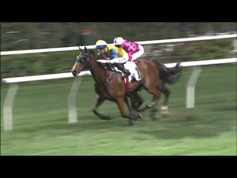 27/4/2022 (620) Xponential  - L Hewitson