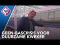 Een kas zonder gas: Westlandse kweker Rob Baan voelt niks van gascrisis