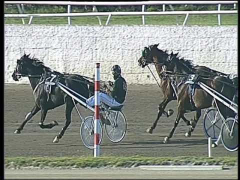 Trotto 12/03/2017 - 4ª corsa