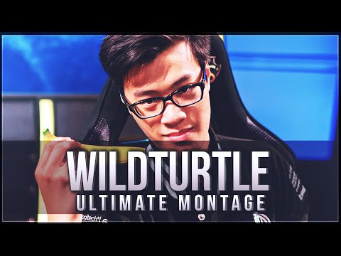 Ultimate Wildturtle Montage "Keep Turtle"