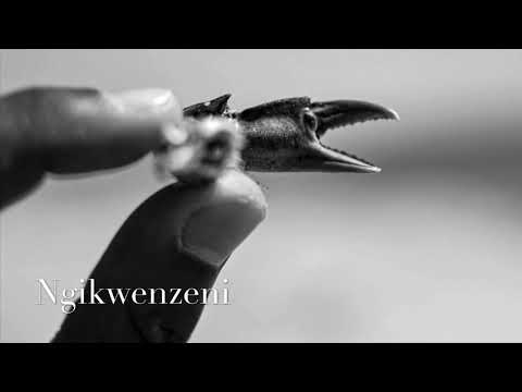 Dr Malinga ft. Mpumi & Villager SA - Ngikwenzeni