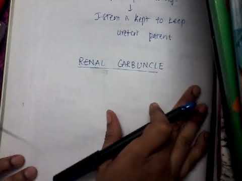 Renal carbuncle || kidney || renal
