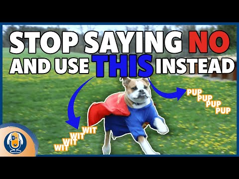 Stop Your Dog’s Unwanted Behaviors With This Positive Interrupter #158 #podcast