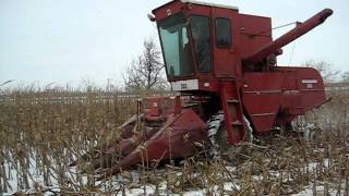 preview picture of video '303 IH combine P.O.Y. corn harvest 1-14-12 004.AVI'