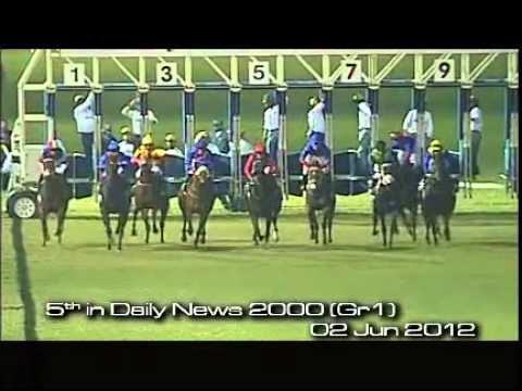 Pomodoro Stallion Profile